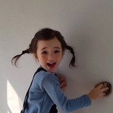 豹比