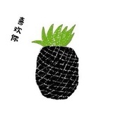 吃凤梨酥哦