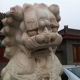 整天犯困