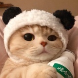 miumiu