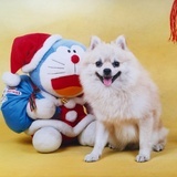 财儿宝