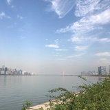 白豆腐