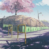 猫空