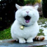 逸清