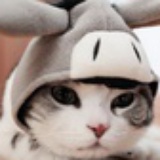 苏梳
