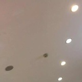 ll
