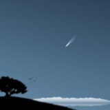 nightingale