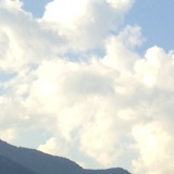 渡