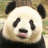 你倒是跳啊