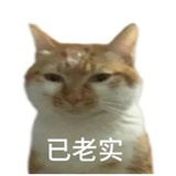 蛋烘糕好吃吗