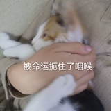 温光