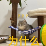 找不到上下左右