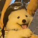 裁梦