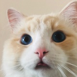 明明是姜别