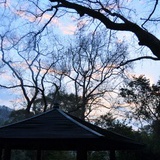 止观