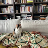 烤羊肉就杏皮茶