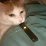 攒股赎身
