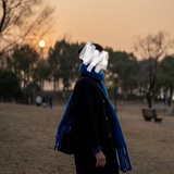 八风风v