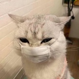 只搞帅的