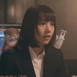 猪泪永恒