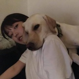 是糖早吖_d