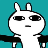 巴豆