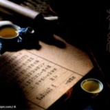 一个人的世界