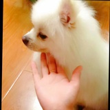 豆友63681180