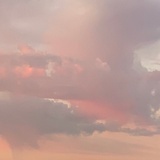 君芊子