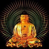 放光的豆子