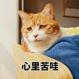 想发财想瘦