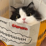 po仔
