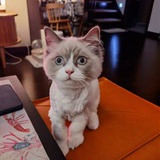 继续写作的龙杰