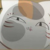 猫咪老师