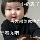 小猪崽子