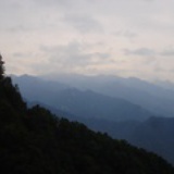 小拖把