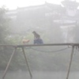 寒兰