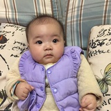 诸葛小贱贱