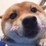 白十一