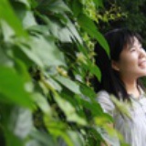 明月
