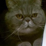 deltacat