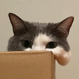 曼尼七七
