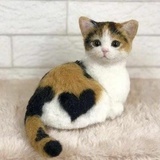 杂家杂谈