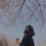 弗瑞登