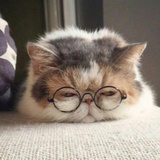 金熙宁