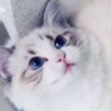 Ema