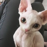 BABY&怪物