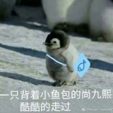 🐧