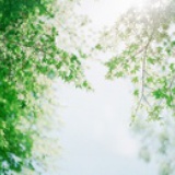 one