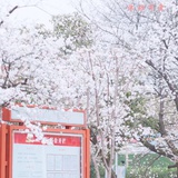 西微